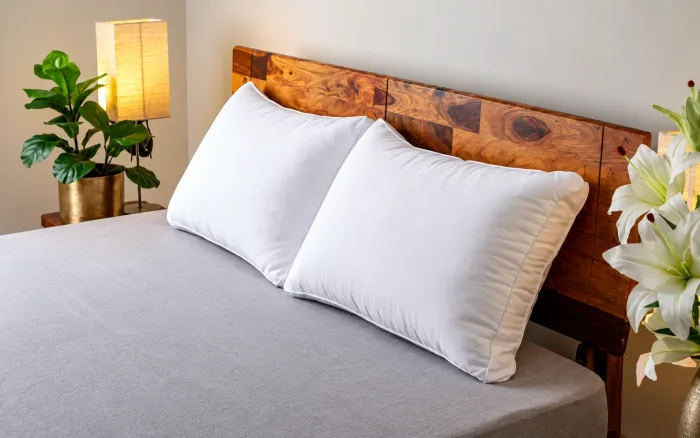 Biodegradable Bed Pillow